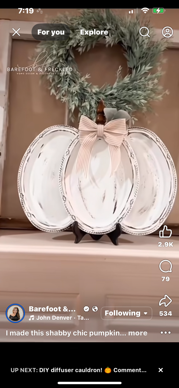 Pumpkin to craft for fall